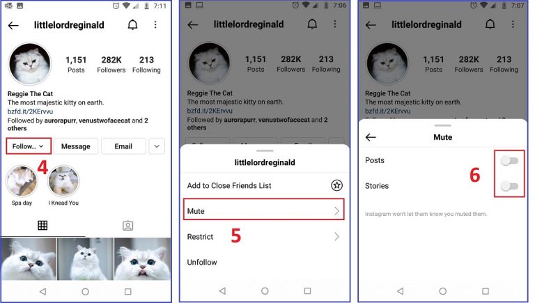 How to Mute Someone story and post on Instagram on Android
